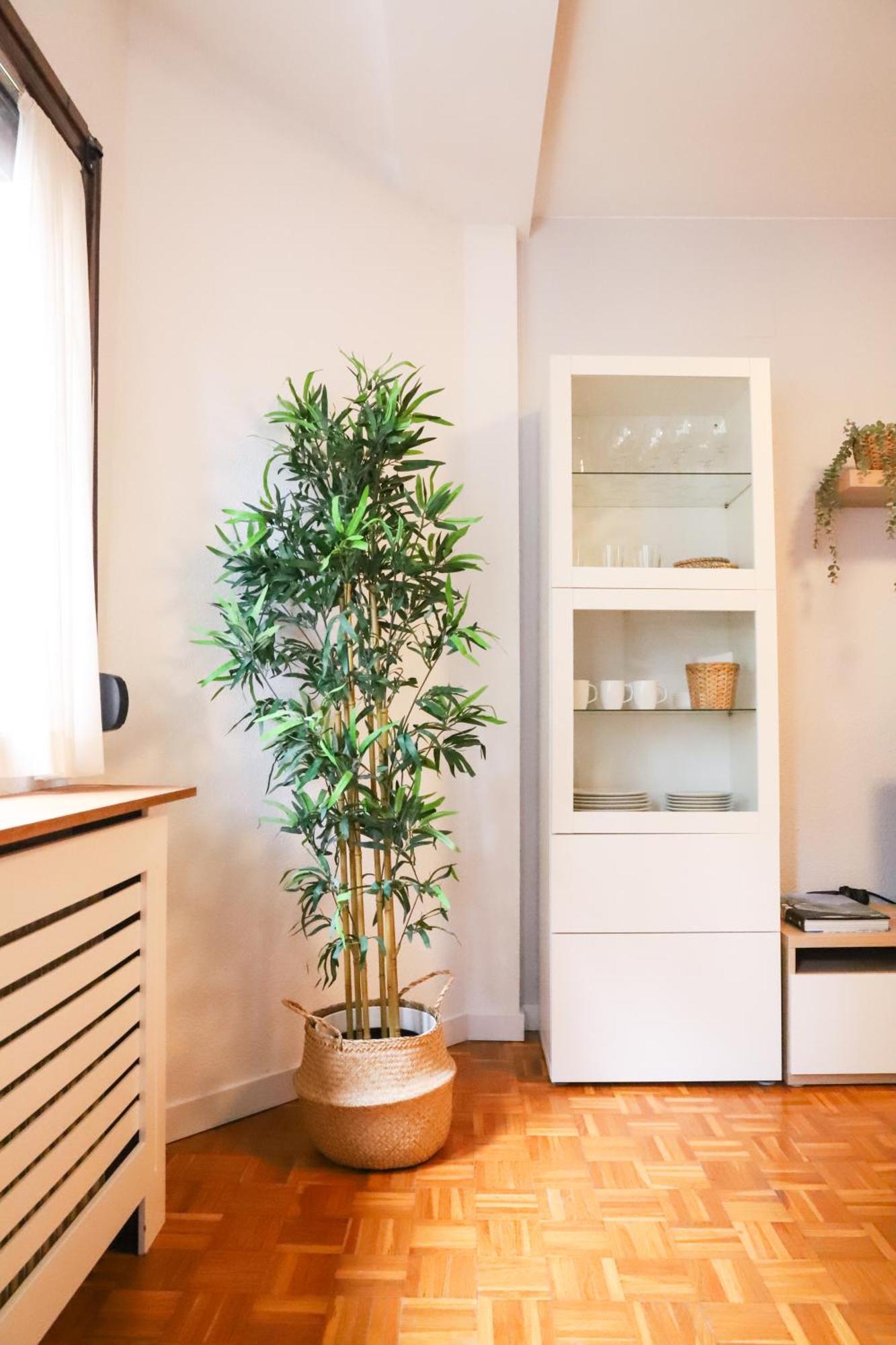 Casa Aspe Jaca 아파트 외부 사진